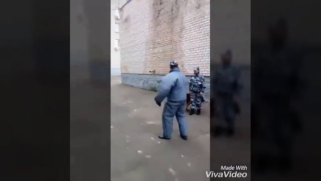 Напарник