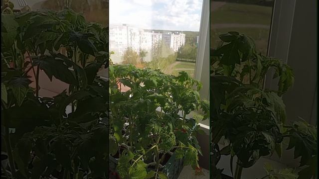 хроника дня, 24.04. 25 г