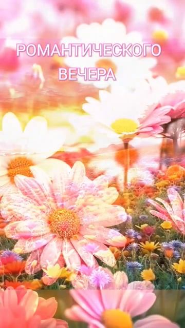 ДОБРОГО ВЕЧЕРА ДОРОГИЕ ДРУЗЬЯ.......