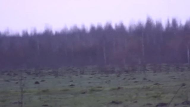 ФРАГМЕНТ ТЕТЕРЕВ