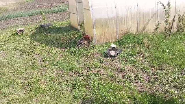 Апрель утомлённый солнцем...