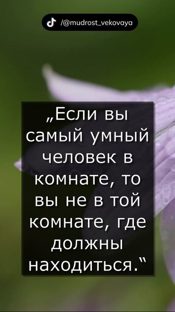 Цитаты Конфуция.