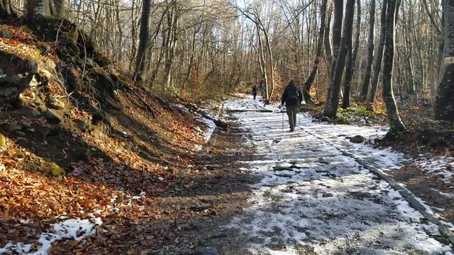 Маршрути из Витоша: От Княжево до Златните мостове