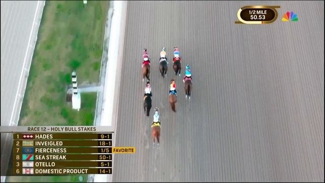 Яркие моменты 2024💥The Holy Bull Stakes💥