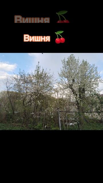 Просто красивые места (деревня Подмоклово)