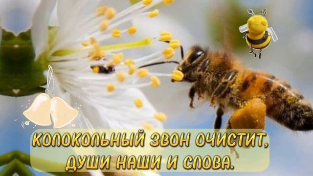 МЕДОВЫЙ СПАС!🍯 ПОЗДРАВЛЕНИЕ С МЕДОВЫМ СПАСОМ.