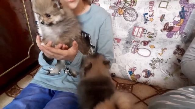 Дети!!!!
