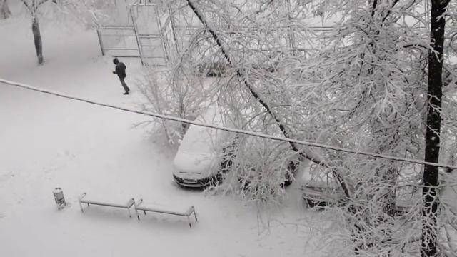 Мело всю ночь и наконец то выпал снег!