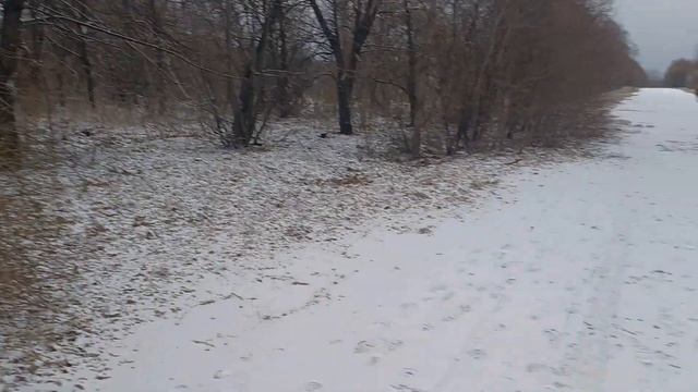мелкий снег в Харькове!