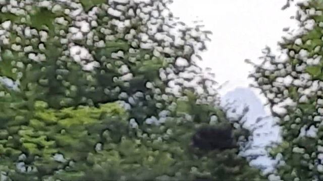 ВибрационныеЛинии вГорах- это стены,которыеНикому неНадо было сооружать-тамНичего нет отСловаВообще