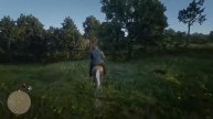 Red Dead Redemption 2 #7 сюжет