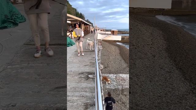 #море #бытха  #пляжсочи