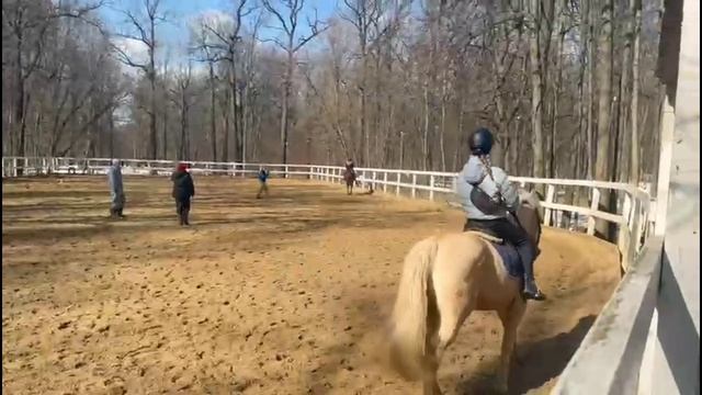 ##конный тренд## Кск Ахилес ♡♡