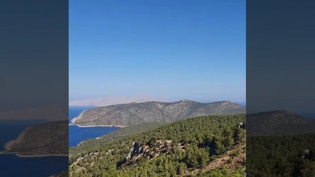 Обзор на канал Наша жизнь в Германии: от стрима и до сегодняшнего дня...