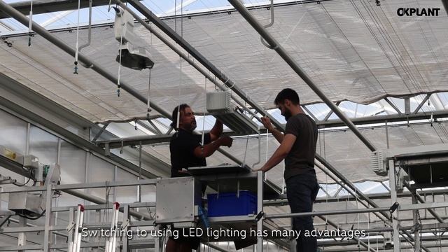 LED lighting in the nursery of Kolibri Company
