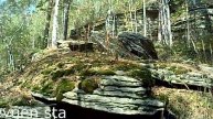 3 Уральские мегалиты Часть 3