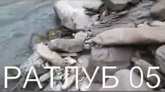 АРИП АРИПОВ и МАНАРША ХИРАЕВА - Шамильский район