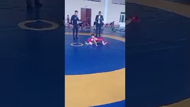 намангани уйчи отабек еркин кураш