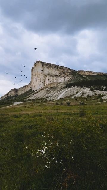 Белая Скала, Белогорск, Крым. Природа оживает. Поездки по полуострову. #природакрыма #туризм