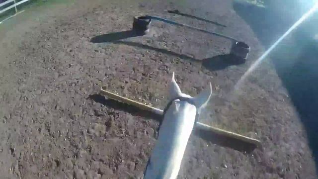 Конкурная тренировка equestrian sport GoPro horse jump