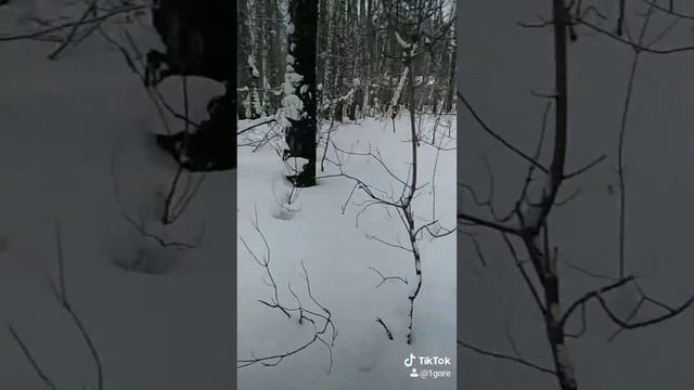 Похрустим снежком.