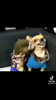 Если ,ты ззмеёшься,то у тебя шиза....21часть.Видео из тт)