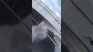 1000019263.mp4