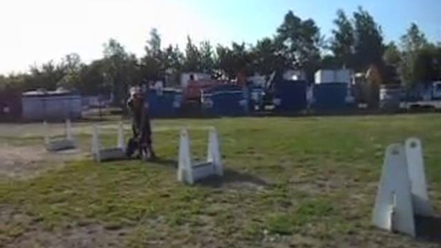 флайбол катя и квинт