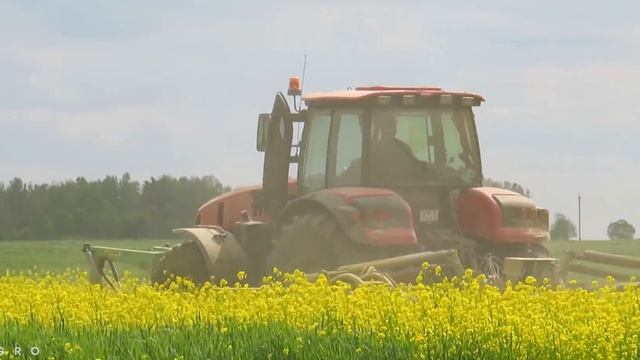 Заготовка кормов / БЕЛАРУС 3522 CAT + КМР-9 / 2Х ПАЛЕССЕ FS80 / 2X БЕЛАРУС 1221 / МАЗ 5551 и др. /