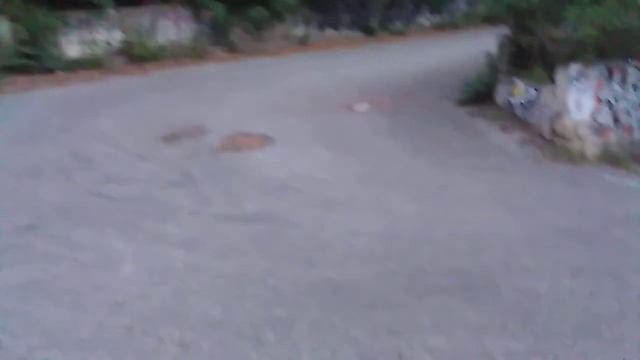 Рассвет перед восходом солнца