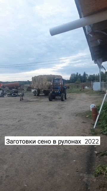 есть в продаже: 1500р за рулон , 200кг ,хорошое  сено . Только погрузка доставки нету.+79256426923