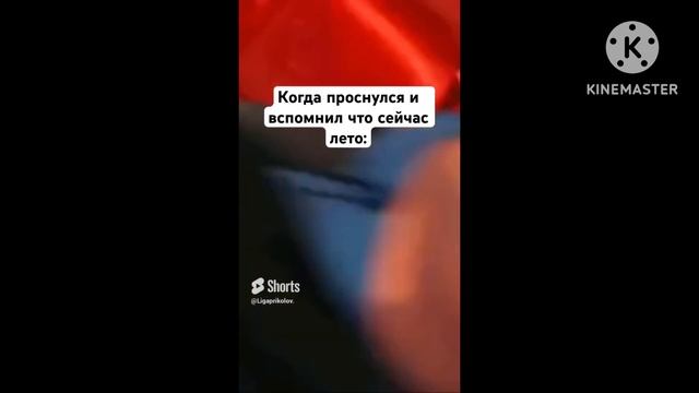 Мемы август 2023😂