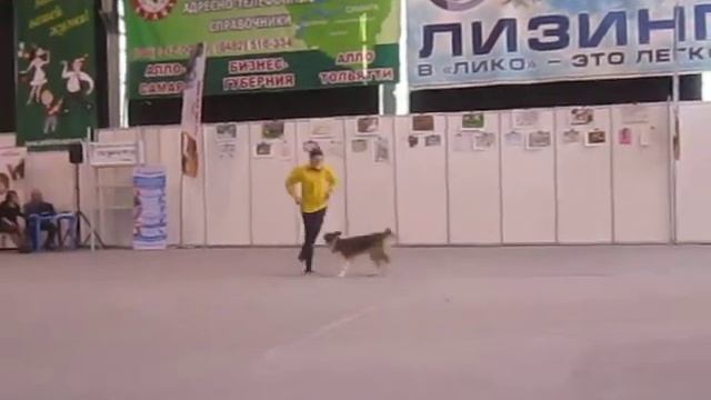 08.01 Бруклин.MOV