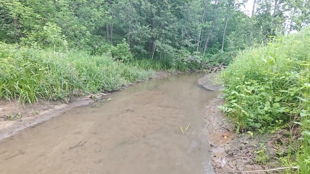 Решил начать искать в водоемах: приобрел скуп.