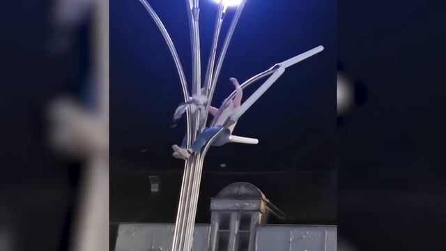 Волки Окружили Оленя / Случаи с Животными Снятые На камеру