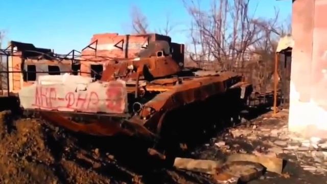 Анатолий Шарий  Радость от собственного поражения