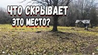 Тайна лесной деревни. На поиски клада! Интересный коп 2025.