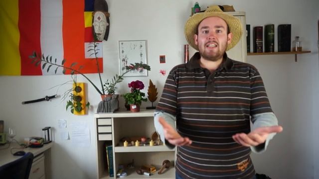 Die Zimmerpflanze des Monats: Die Becherprimel