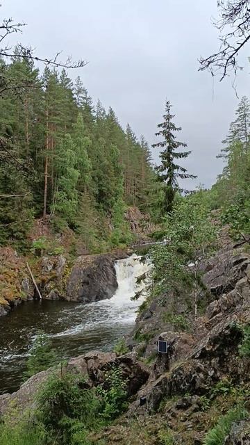 У водопада "Кивач" в Карелии. #карелия
