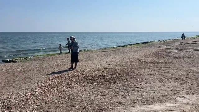 Колледж строительства и дизайна на субботнике у памятника Сулейману Стальскому