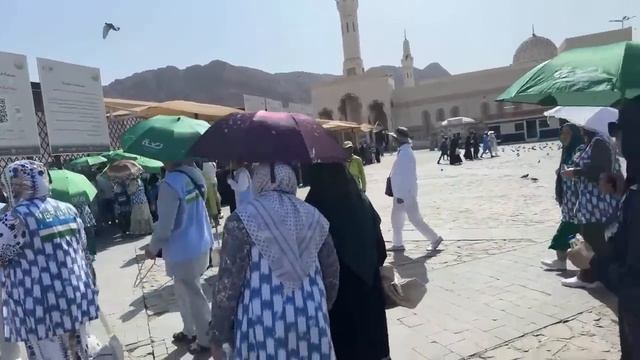 ХОЖИЛАРИМИЗ УХУД ТОГИГА КЕЛИШДИ