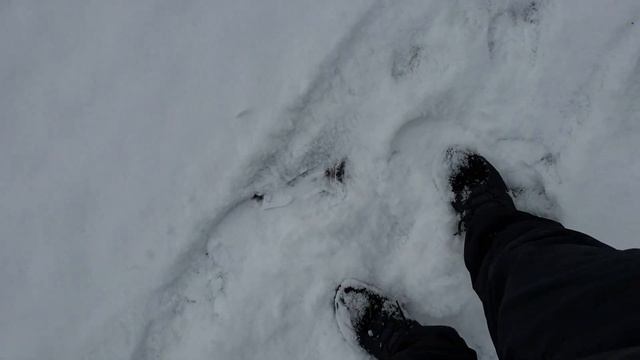 @ Schnee!Cнег кружится летает ,волшебная прогулочка !