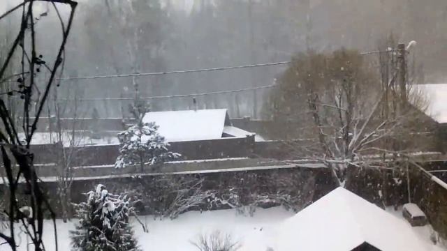 СНЕЖОК!!!!!!!!!!!!