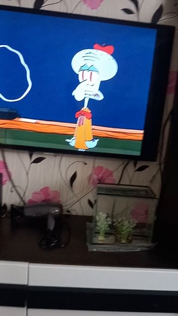 спанчбоб