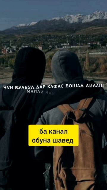 Ох гариби #2024