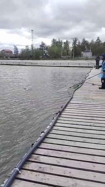 WhatsApp Video 2025-04-26 at 09.14.59