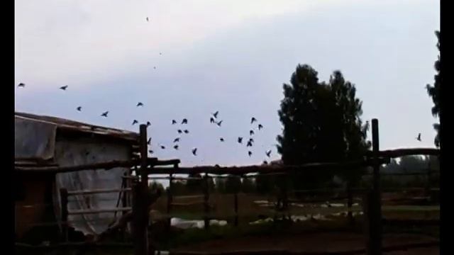 Летние зарисовки 2013г