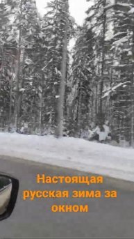 Красивейший зимний лес за окном, во Владимирской области ❄🌲➡️