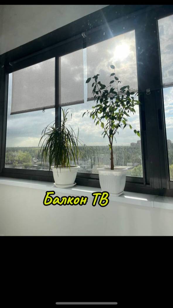 Балкон ТВ