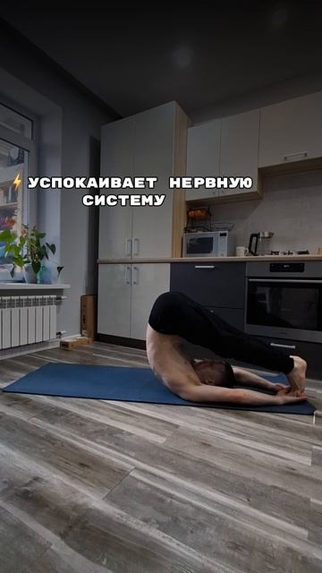 Халасана